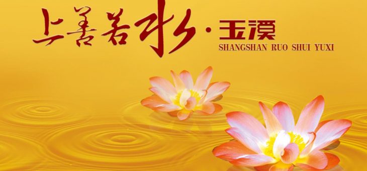 與玉溪品牌合作案例